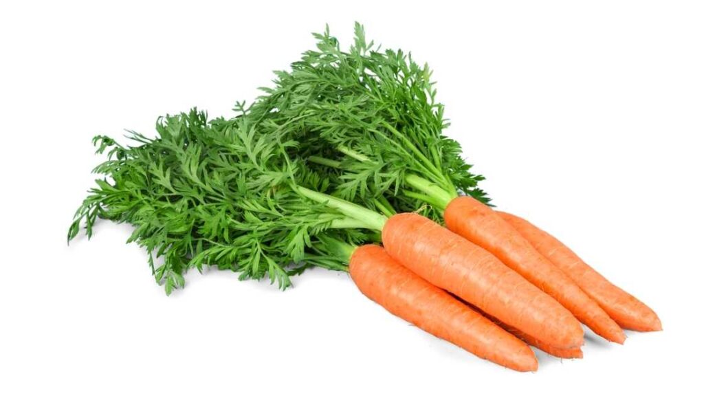 25 Best Vegetables For Detox The Detox Lady